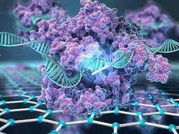 CRISPR-Graphene Enabled Gene Detection