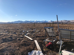 Beneath the surface: how microbes degrade stable tundra organic matter