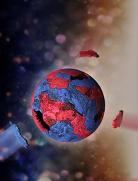 Finding Wisdom in Politically Polarized Crowds