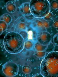 Biological Physically Unclonable Function 