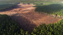 Editor's choice collection: Deforestation