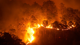 Editor's choice collection: Wildfires