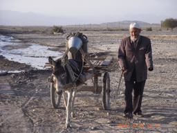 How Global Targets on Drinking Water were Developed and Achieved