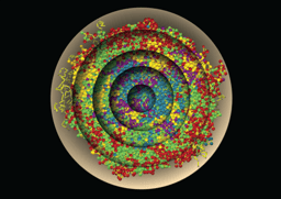 A journey from the periphery towards the center of the cell nucleus
