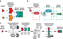Engineering Cell-Free Biosensors