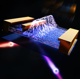 Imaging of electric field distribution in electronic devices