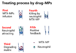 MTX-MPs: a road to cholangiocarcinoma treatment