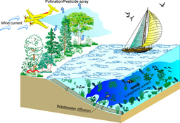 Rethinking the process of detrainment: jets in obstructed natural flows