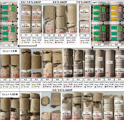 Bio-Concrete Achieves Unprecedented Strength