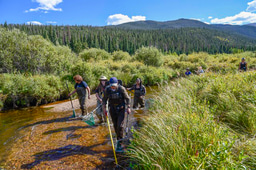 After the Paper | Catalyzing dialogue about who should be advancing equity, diversity and inclusion on college campuses and beyond