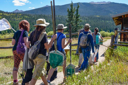 How can we achieve diversity and inclusion in ecology?