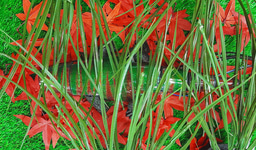 Artificial camouflage skin – Chameleon Robot