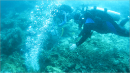 Beneath the Waves: Exploring Submarine Groundwater Discharge