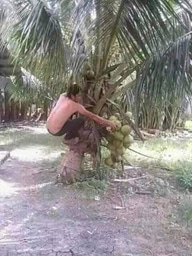 Publish-or-perish in academia: a classic case of antisynergy