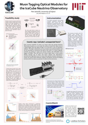 Petr Jakubcik: Muon Tagging Optical Modules for the IceCube Neutrino Observatory