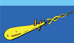 After the Paper: Still eavesdropping on plankton, now with bigger datasets and better robots