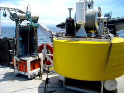 Eavesdropping on plankton with robots: lessons from the microbes of the California Current