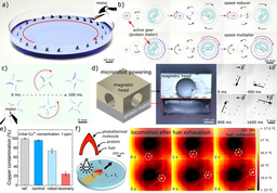 Multifunctional and Biodegradable Self-Propelled Protein Motors