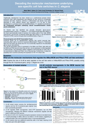 Decoding the molecular mechanisms underlying sex-specific cell fate switches in C. elegans