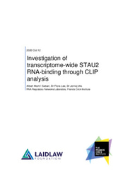 Investigation of transcriptome-wide STAU2 RNA-binding through CLIP analysis