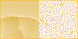 After the Paper | Amorphous conjugated polymer networks