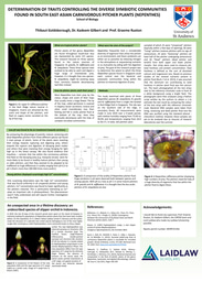 Carnivorous Pitcher Plants of South-East Asia