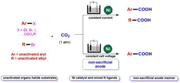 Nickel-catalyzed electrochemical carboxylation of unactivated aryl and alkyl halides with CO2