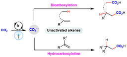 Visible-Light Photocatalytic Di- and Hydro-Carboxylation of Unactivated Alkenes with CO2