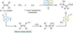 Metallaphotoredox-enabled aminocarboxylation of alkenes with CO2