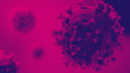 Career Panel: Public Health