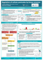 Regulation of cellular postcodes by kinase enzymes