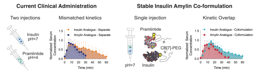 Enhancing Diabetes Treatment with a Biomimetic Co-formulation of Insulin and Amylin Analogues