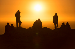 The birth of a new platform to bring Ecology closer to society