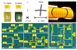 Formulating 2D semiconductor inks for high-performance large-area electronics