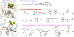 Discovery of the cryptic function of terpene cyclases as aromatic prenyltransferases