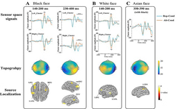 How does the brain classify others by race?