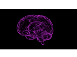 Drug delivery to the brain: self-assembled phage mimetics for crossing the blood-brain-barrier 