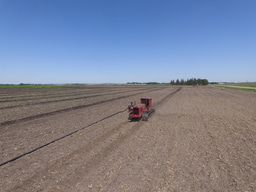 The underground infrastructure that sustains crop production