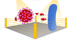 Can bacteria help humans fight COVID-19?