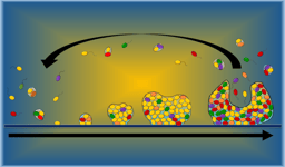 You may never think about microbes and biofilms the same way again