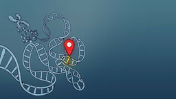 The synergetic relationship between nature and nurture 