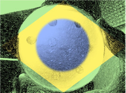 Brazil, a forgotten hotspot of phage therapy