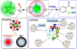 Mass Spectrometry Fuels Nanosecond Photochemistry