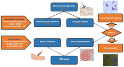 Liquid Biopsy for Minimal Residual Disease Detection in Leukemia Using a Portable Blast Cell Biochip