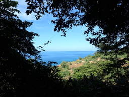 Direct evidence for Late Pleistocene human coastal colonization of isolated islands beyond Wallace’s Line 