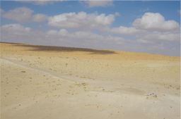 Fossil herbivore stable isotopes reveal Middle Pleistocene hominin palaeoenvironment in ‘Green Arabia’