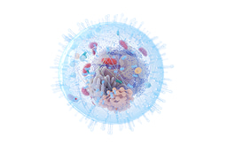 Single Cell OMICs Clustering and Dimensionality Problem