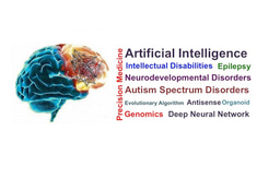 Application of Artificial Intelligence in Neurodevelopmental Disorders, Opportunities and Challenges