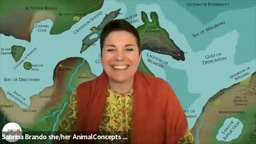 Becoming unstoppable: Sustaining your Energy and Expanding your window of tolerance 