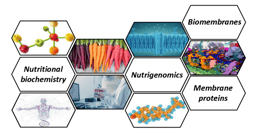 SIB Annual Meeting ‘Nutrition and Environment’ and ‘Membrane’ groups